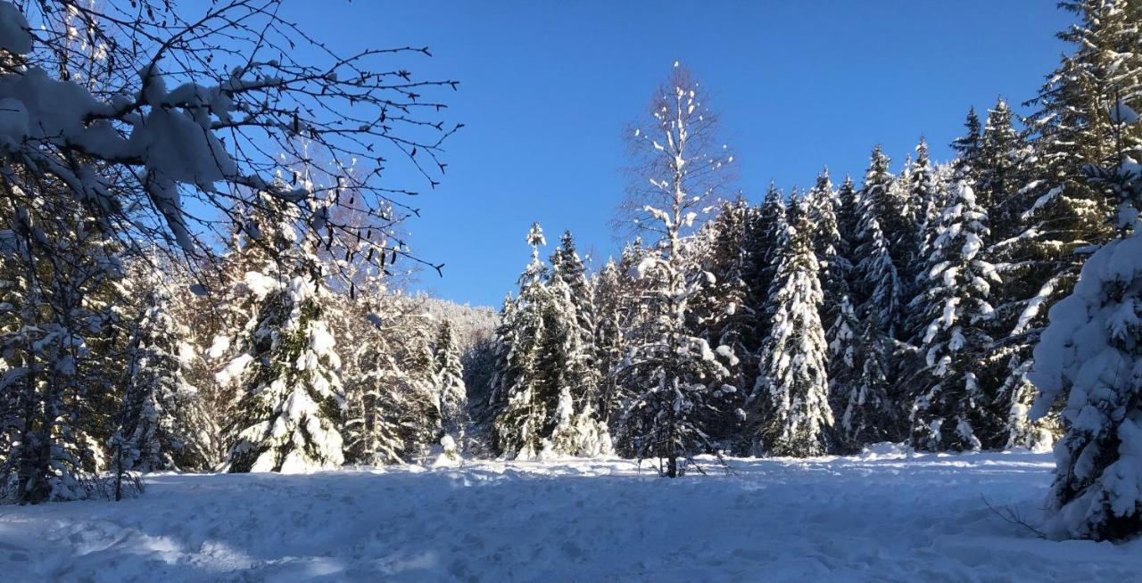 Le Batelier Du Lac Gerardmer Bagian luar foto