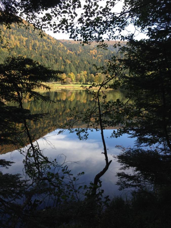 Le Batelier Du Lac Gerardmer Bagian luar foto